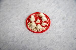 ワキガ手術の痛みを管理するための方法は？