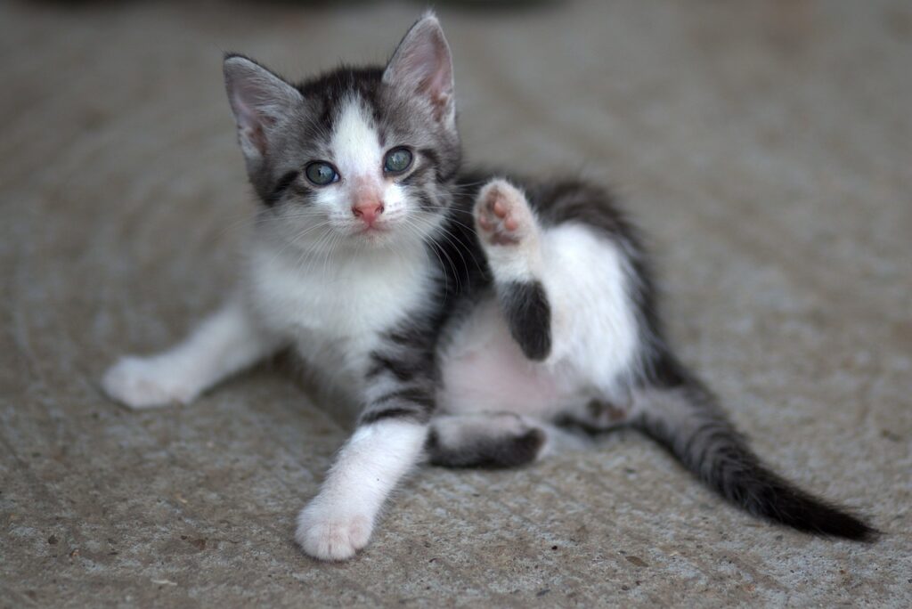多汗症の手術ETSで交感神経を効果的に治療する方法は？
