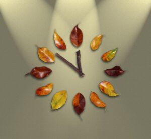 ビューホットのダウンタイム中に楽しめる過ごし方は？