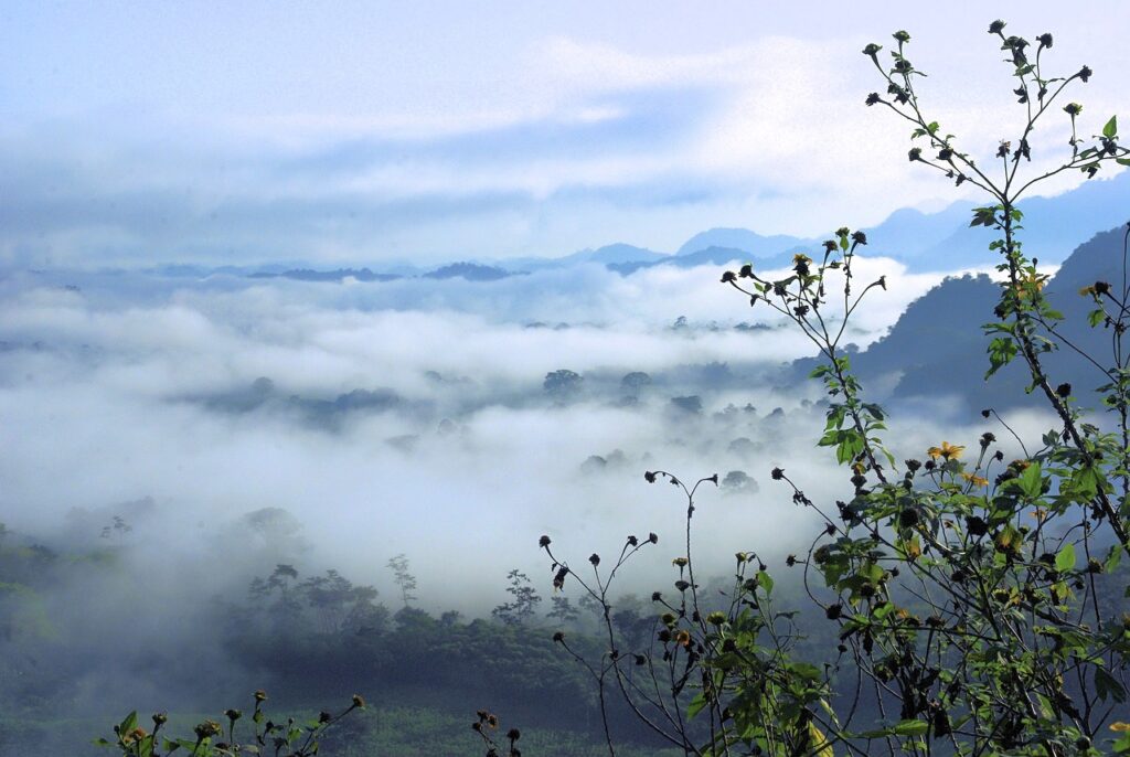 ボトックスでワキ汗対策のモニター募集はどこで行われているの？