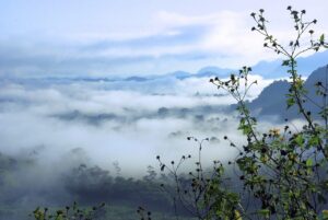 ボトックスでワキ汗対策のモニター募集はどこで行われているの？