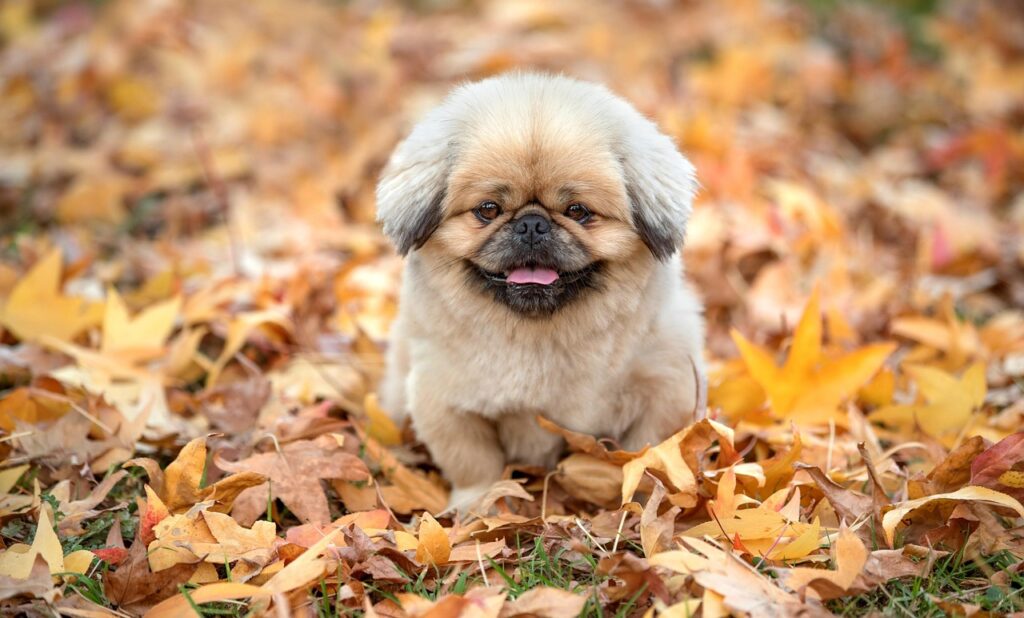 産後のわきが対策はどうすればいい？