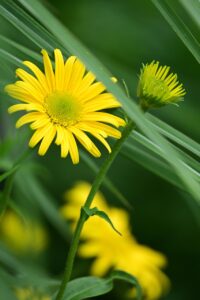 多汗症に対応する専門クリニックの一覧はどこで見つけられる？