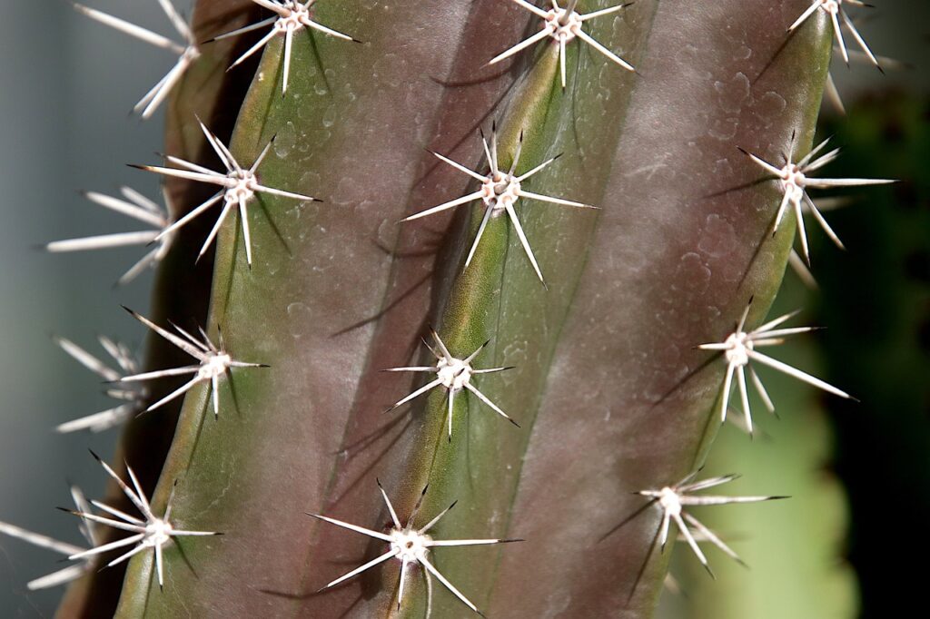 ボトックスによる多汗症の効果を他の治療法と比較すると？