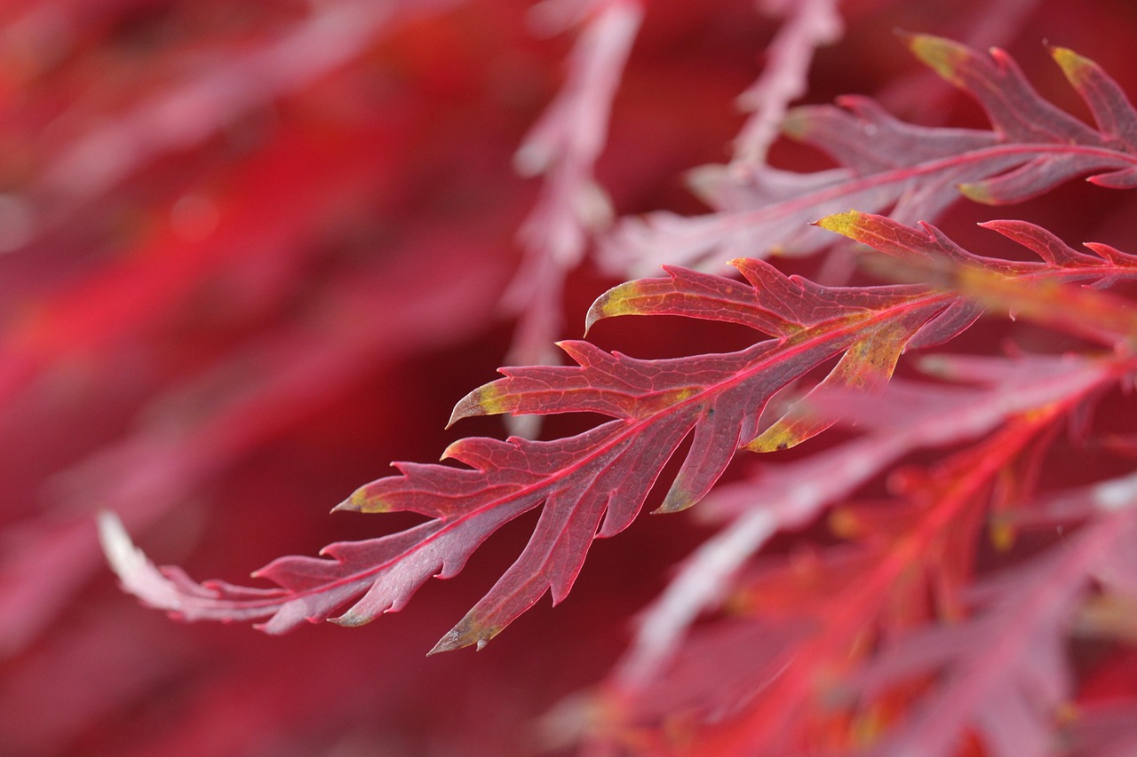 ミラドライの口コミと評価は実際どうなのか？