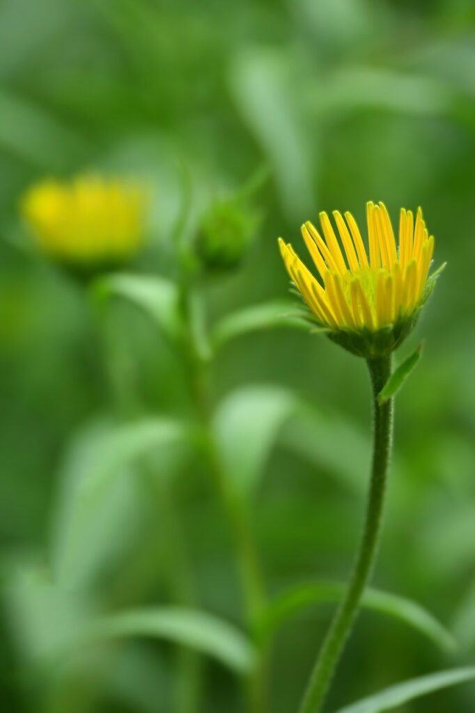 ワキガに関するオンライン相談で知っておくべきことは？