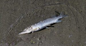 ワキガと多汗症に悩む方におすすめの対策一覧は？