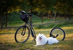 ワキガと多汗症の治療で失敗しない選び方は？