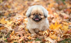 ワキガ対策に効果的な塗り薬はどれですか？