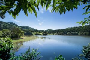 ワキガ男性の効果的な治療法は何ですか？