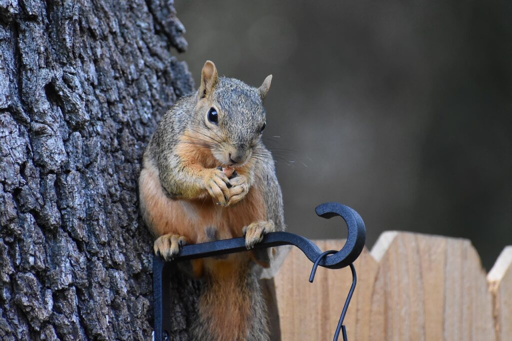多汗症におすすめのクリニックを安心して比較する方法は？