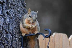 多汗症におすすめのクリニックを安心して比較する方法は？