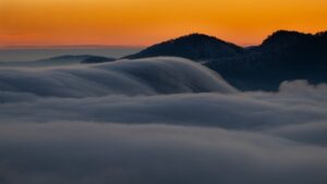 費用の差が生じる理由はなぜなのか？