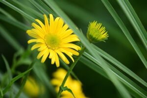 ワキガの切らない治療でおすすめの方法は？