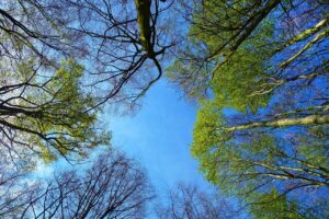 ワキガの悩みを解消する通いやすいクリニックはどこ？