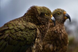 ワキガ治療の術後ケアで気をつけるべきポイントは？