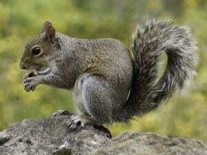 多汗症の手術後の傷跡はどれくらい目立つ？