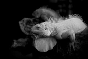 横浜でワキガに悩む方におすすめのクリニックは？