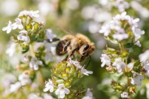 ワキガ治療でダウンタイムが少ない方法は？