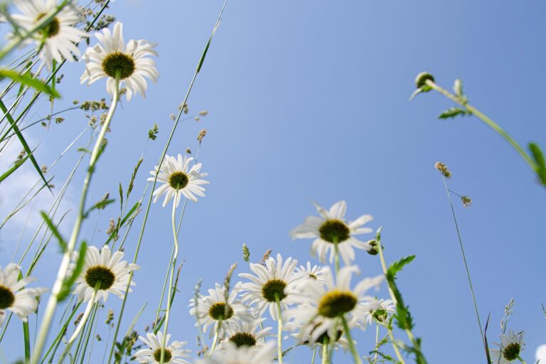 ワキガ治療は夏前に受けるべきか？